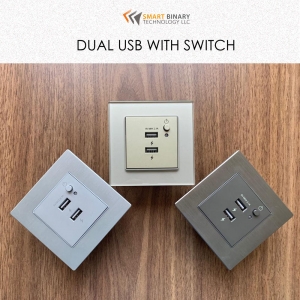 Dual USB Port with Switch